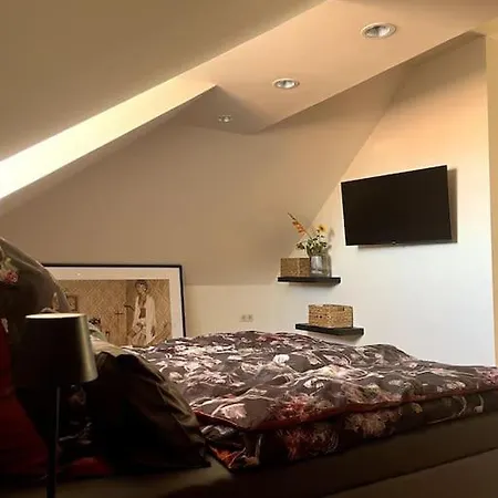 Ueber Den Daechern Der Landshuter Altstadt Apartment