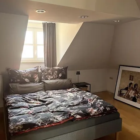 Ueber Den Daechern Der Landshuter Altstadt Apartment *