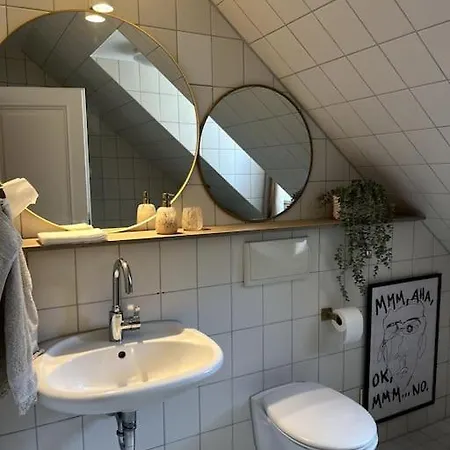 Ueber Den Daechern Der Landshuter Altstadt 公寓 *