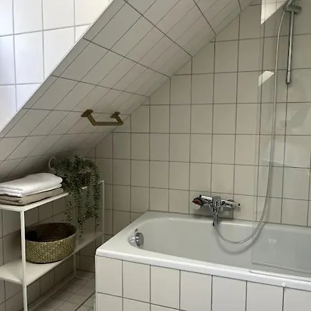 公寓 Ueber Den Daechern Der Landshuter Altstadt 兰茨胡特
